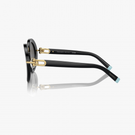 Tiffany&Co Siyah Kadın Güneş Gözlüğü TF4201 8001S4 50